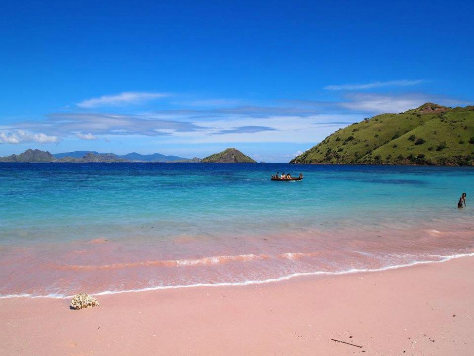 Pink-Beach-Komodo.jpg