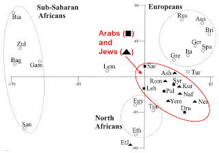 Hammer_2000_Jew_Arab_Ychromosome.png