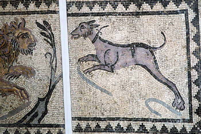 DogMosaic_wb.jpg