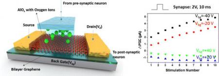 Graphene-brain-synapse-img_assist-450x156.jpg