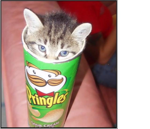 Pringles.jpg