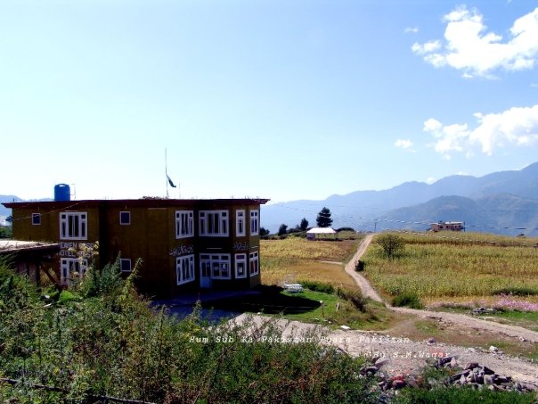 shogran6.jpg