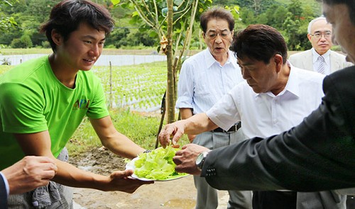 Vietnam-vegetable-granary.jpg