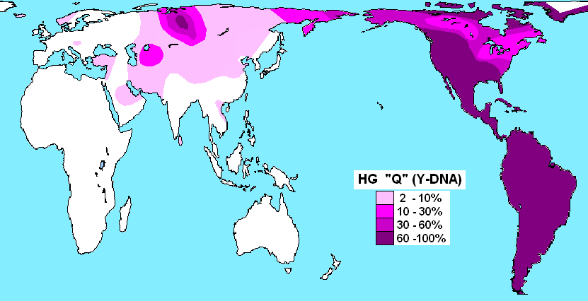 Haplogroup_Q_(Y-DNA).PNG