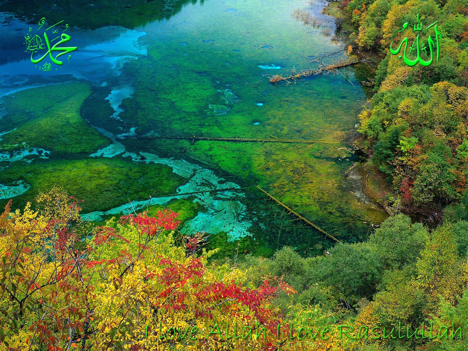 Islamic+Wallpaper+of+nature.jpg