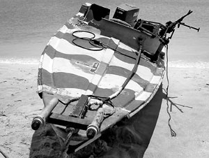 sea-tiger-boat.jpg