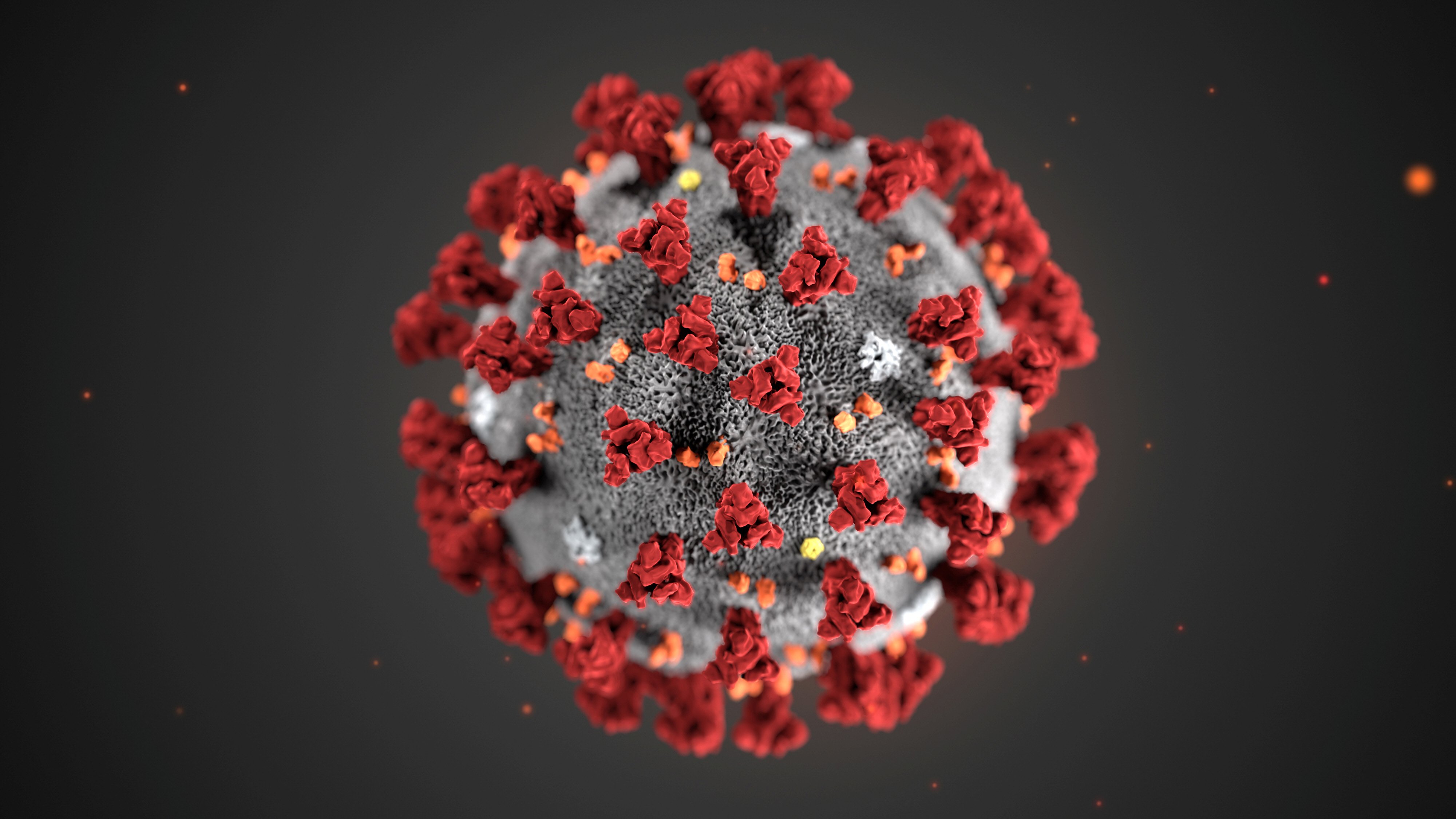 2162276-coronavirus-1582430939.jpg