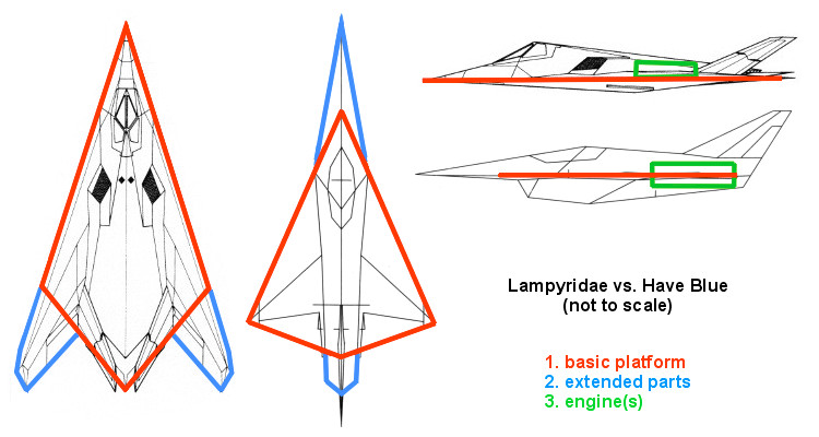 lampyridae_vs_have_blue.jpg