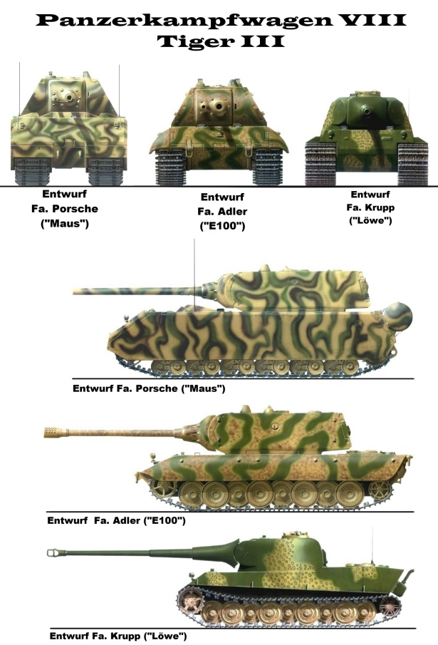 tiger3.jpg