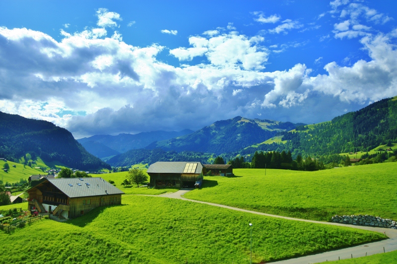 Switzerland-Interlaken-Montreux+016+(800x533).jpg