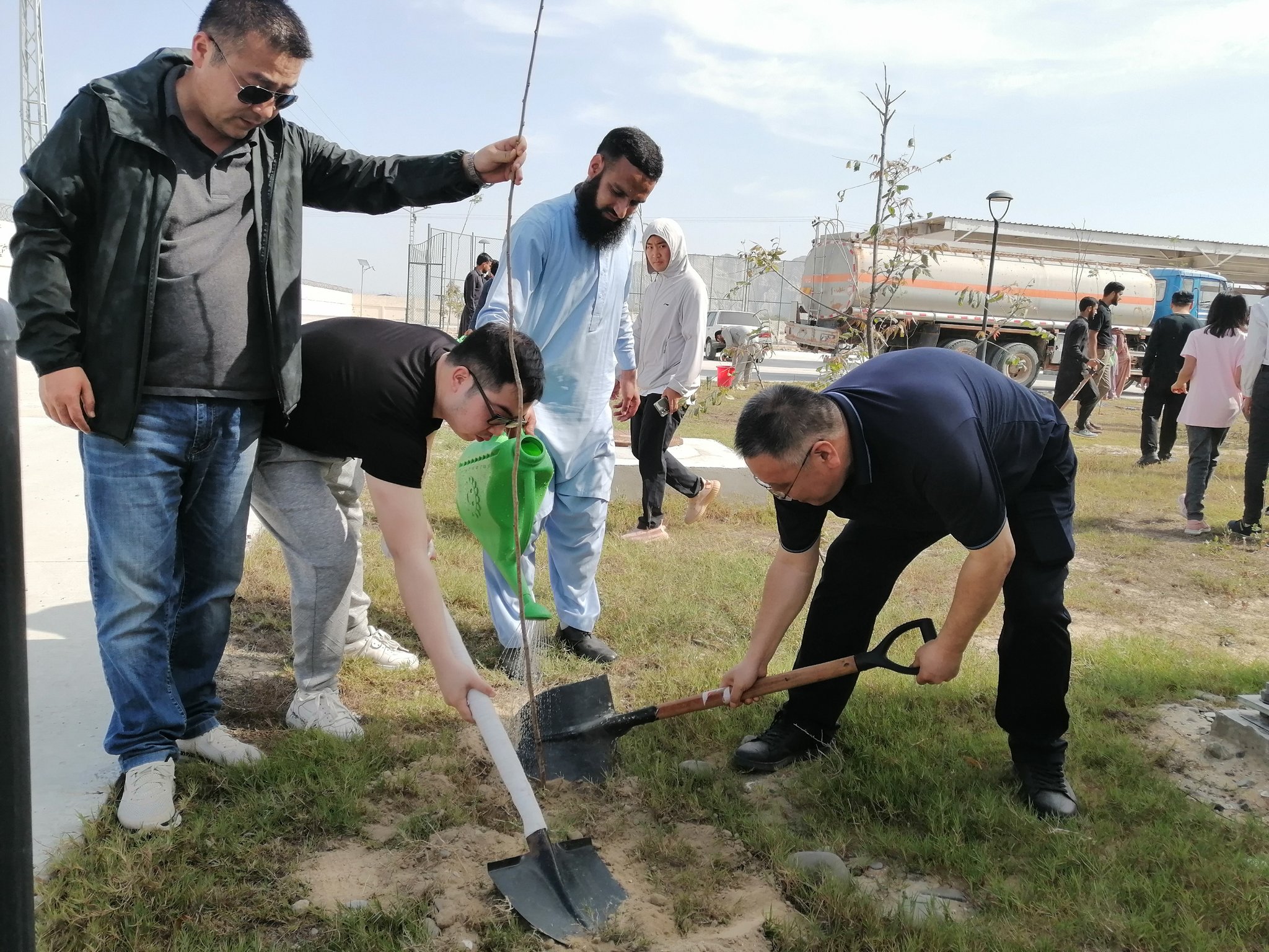 Tree plantation drive held in Gwadar