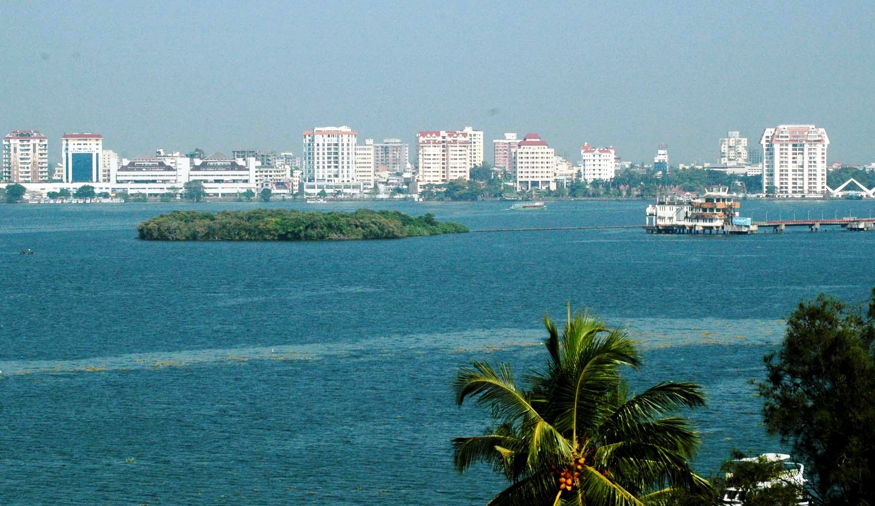 Kochi1.jpg