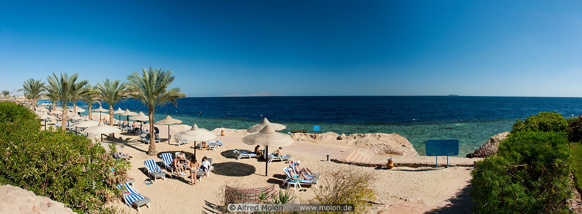 08%20Beach%20with%20parasols%20and%20palms.jpg