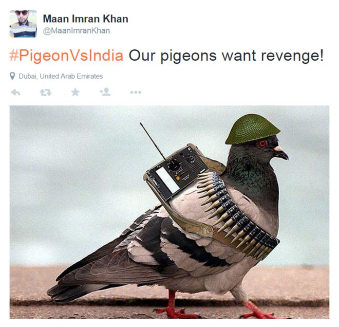 _83365797_pigeonmeme2.png