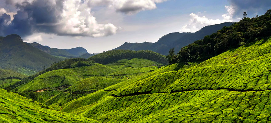 munnar.jpg