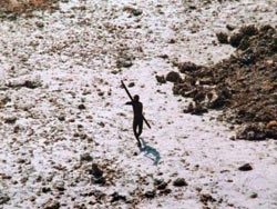 sentinelese_arrow.jpg