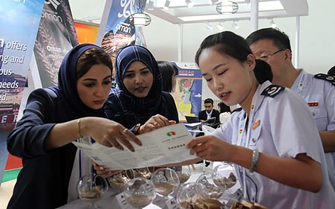 china-arab-states-expo2.jpg