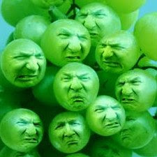 sour+grapes.jpg