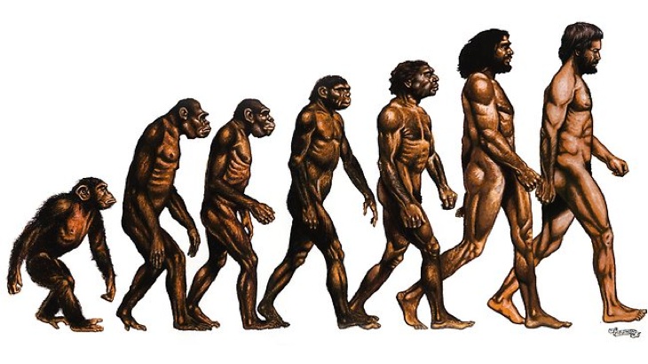 217734-evolution-of-man.jpg