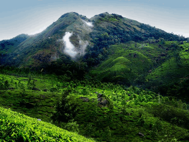 pothanmedu-view-point-munnar.gif