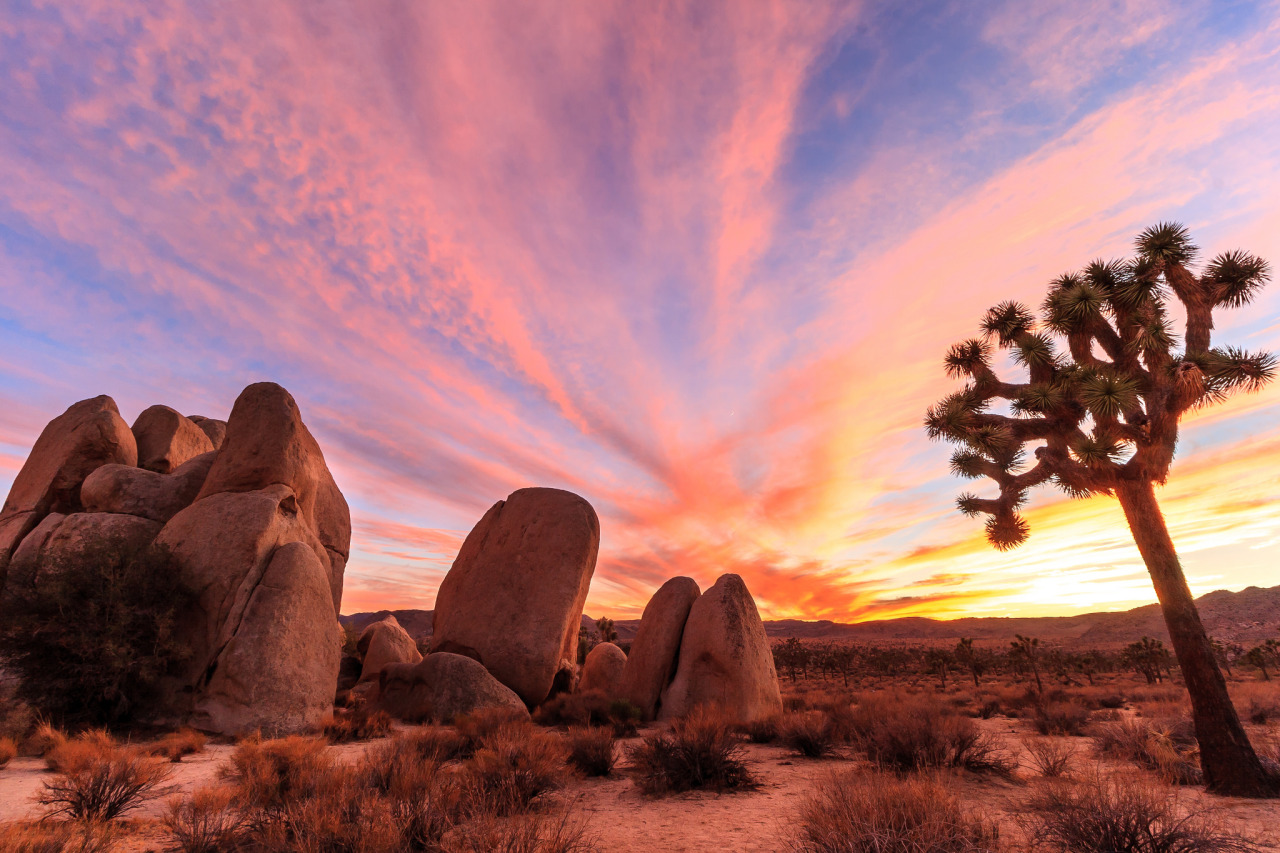 joshua-tree-np-37-sunset.jpg