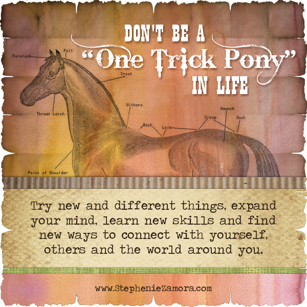 2013-10-25-onetrickpony.png