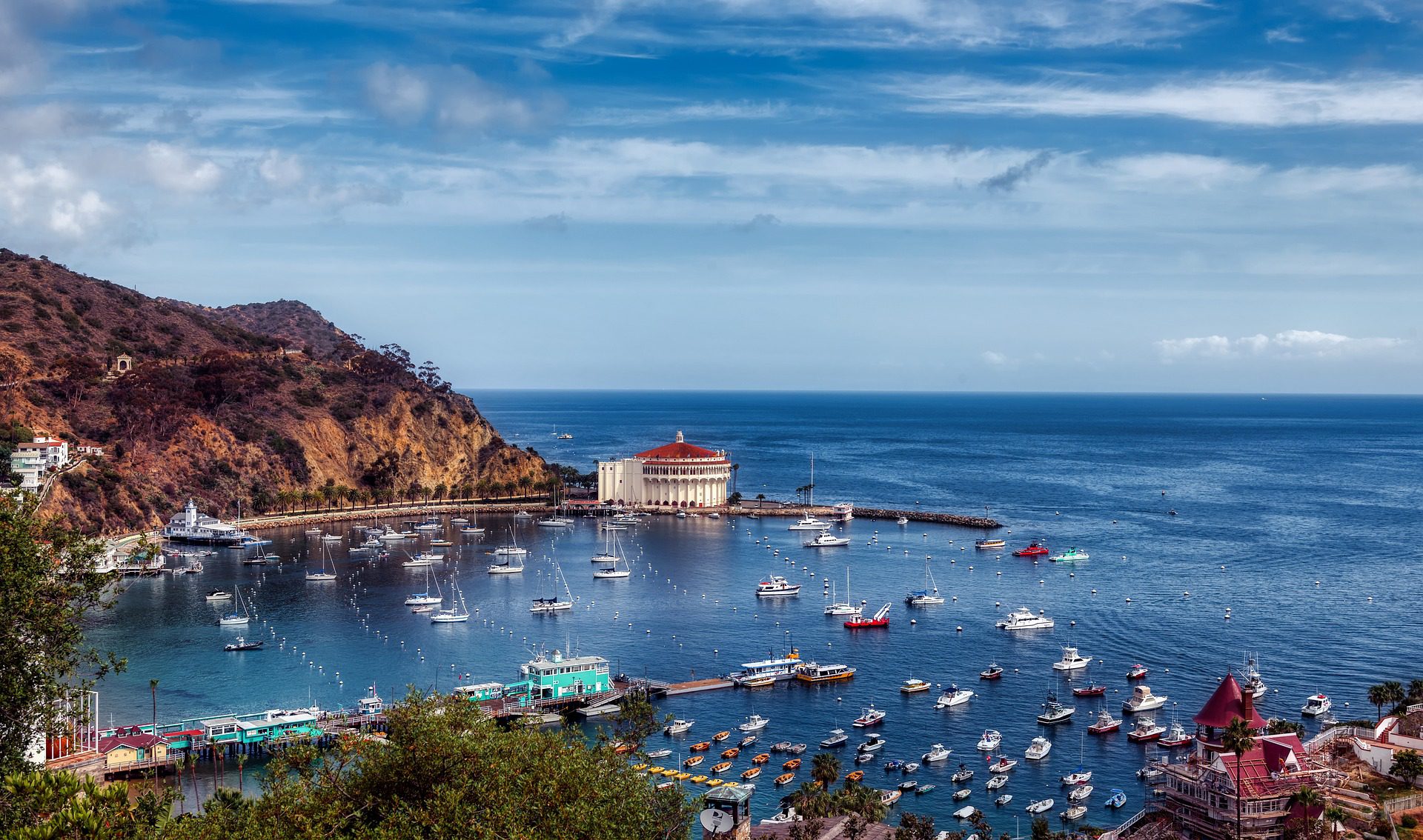 catalina-island-4086930_1920.jpg