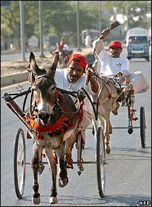 www.masticlub.com-shocking-news-karachi-donkey-race0.jpg