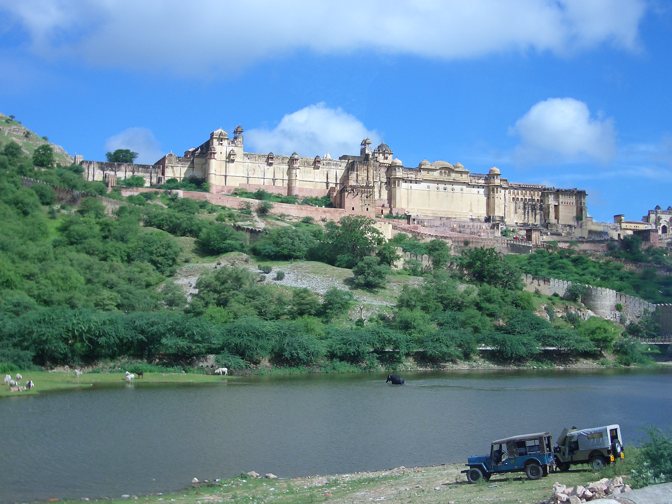 R38567157430_Amber_Fort_overlooking_Maotha_lake.jpg