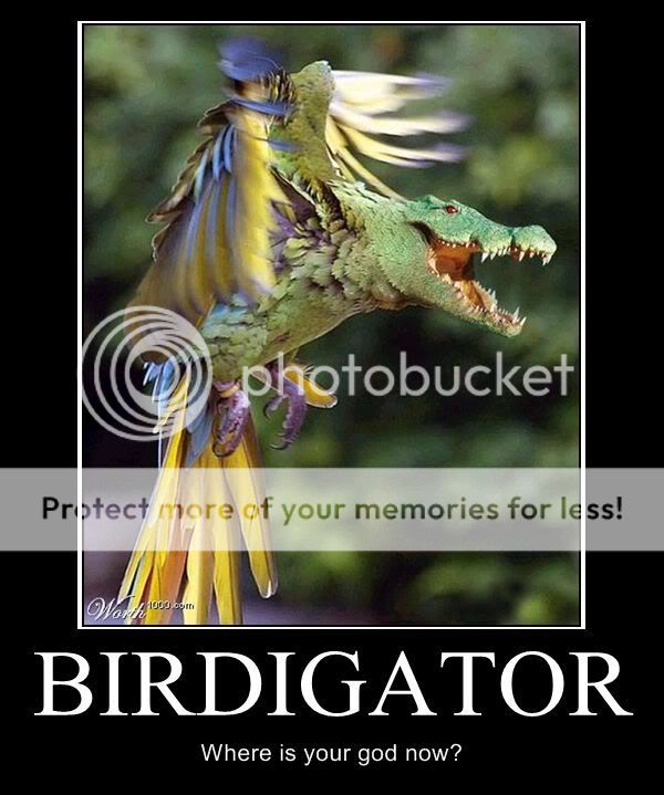 BIRDIGATOR.jpg