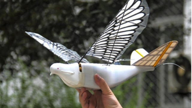 birdlike%2Bdrones%2B%25281%2529.JPG