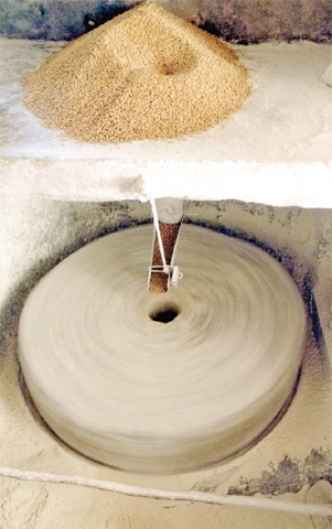 Wheat being ground into flour. — Photos by the writer