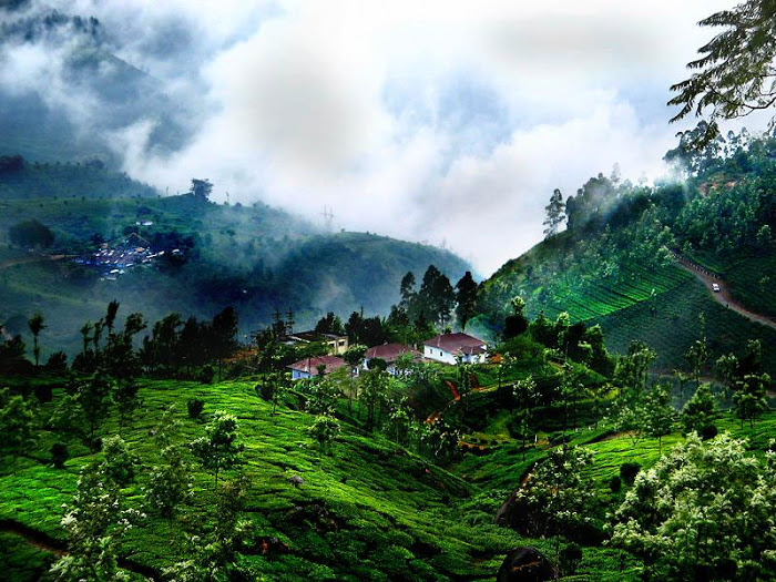 munnar-hill-station-kerala-beautiful-photos-1.jpg