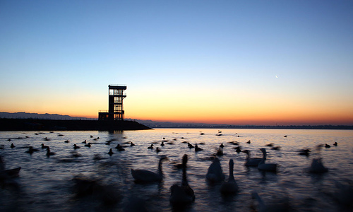 sukhna-lake.jpg