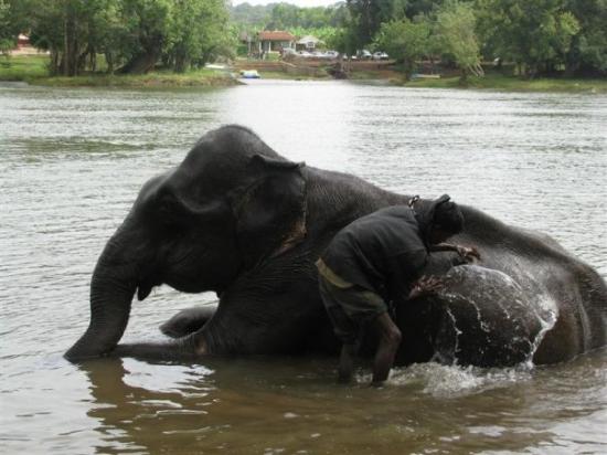 madikeri.jpg