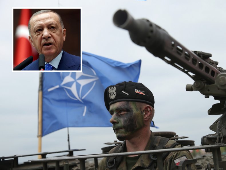 Turkey NATO 