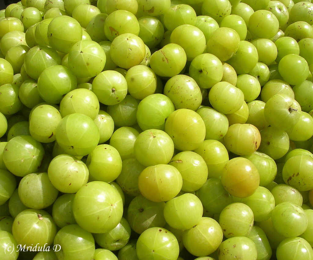 Indian_Gooseberry_Amla.JPG