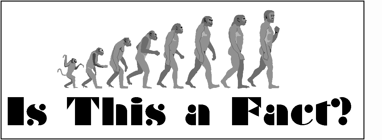 evolution.gif