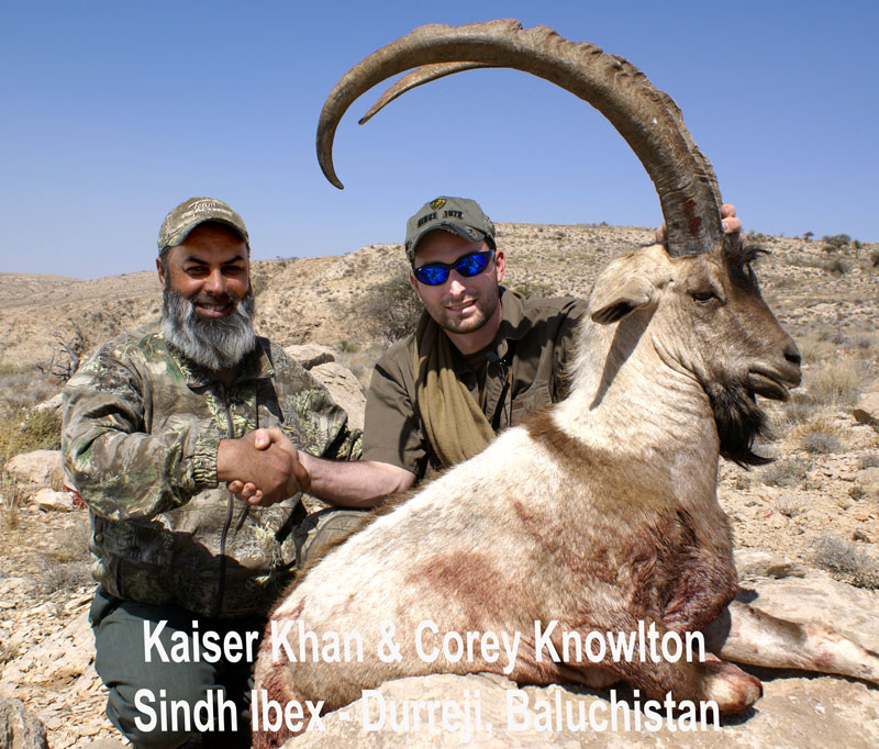 corey_sindh_ibex_L4.jpg