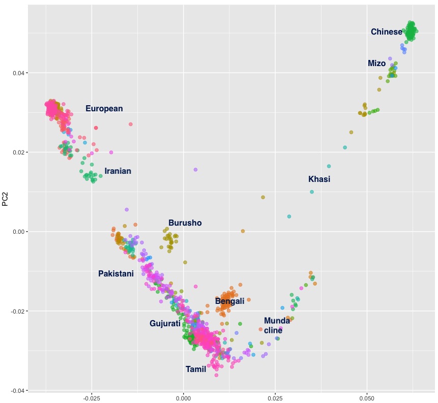 Rplot04.jpg