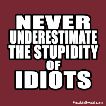 stupid_idiots_banner.174192623_std.jpg