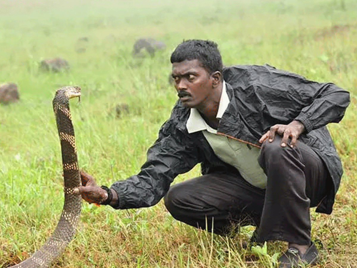 vava-suresh-talk-with-snake-89565545.jpg