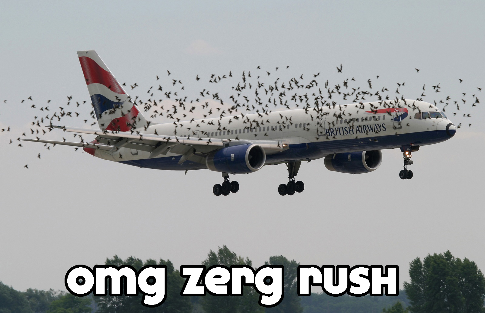 omg_zerg_rush.jpg