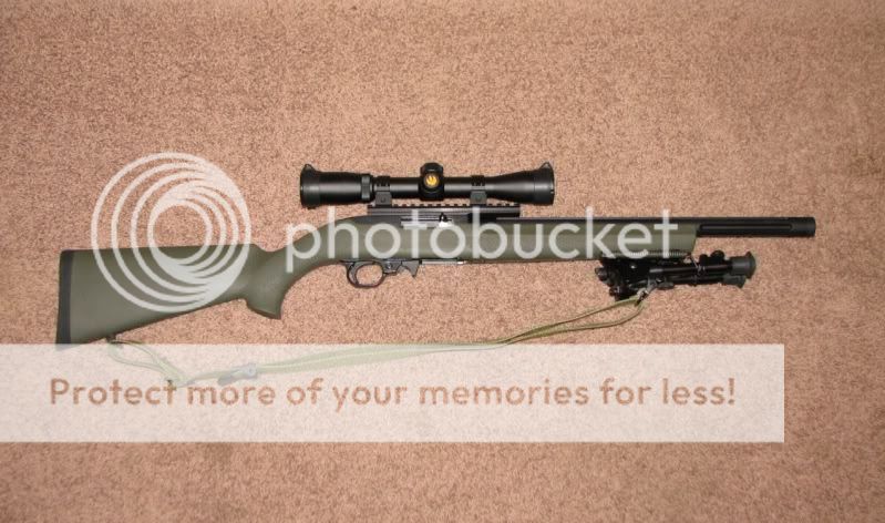 Ruger10-22_zps6be69534.jpg