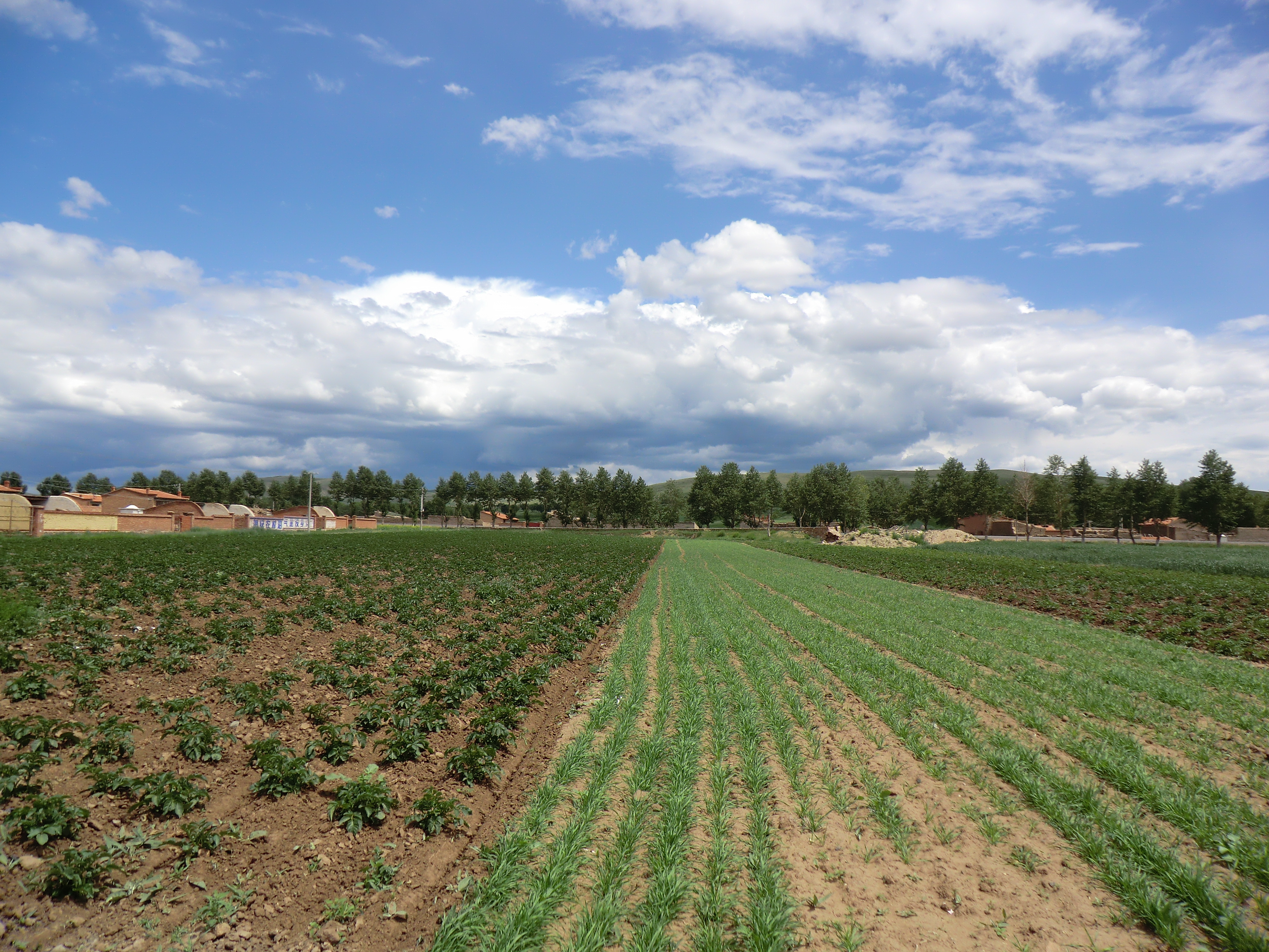 Hale_village,_Wuchuan_County,_Inner_Mongolia,_China.JPG