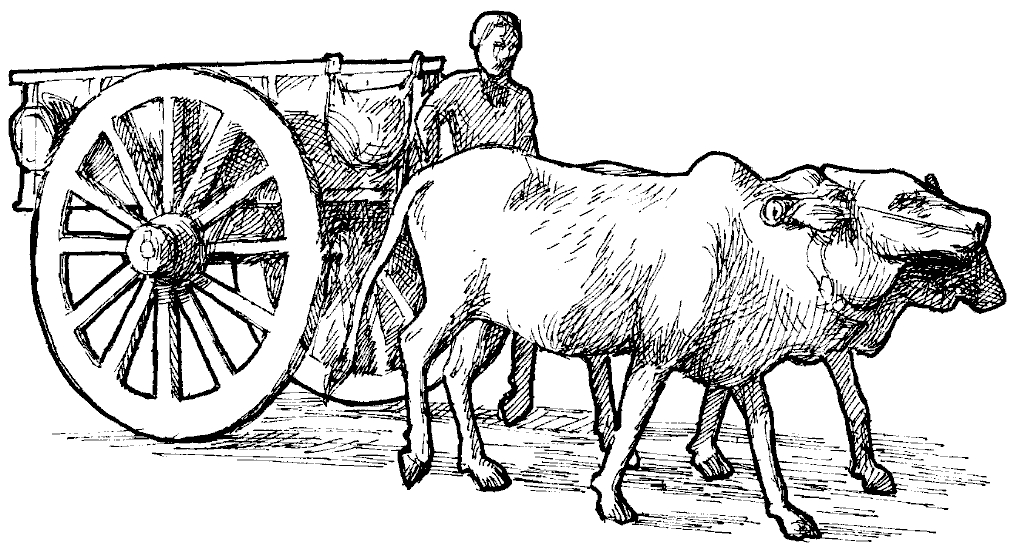 bullock_cart.jpg