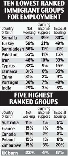 migrantsgraphic3009_228x517.jpg