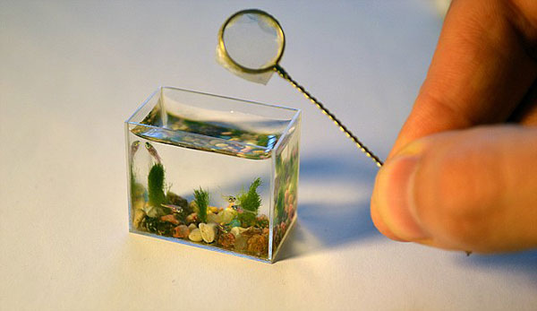 world-smallest-aquarium.jpg