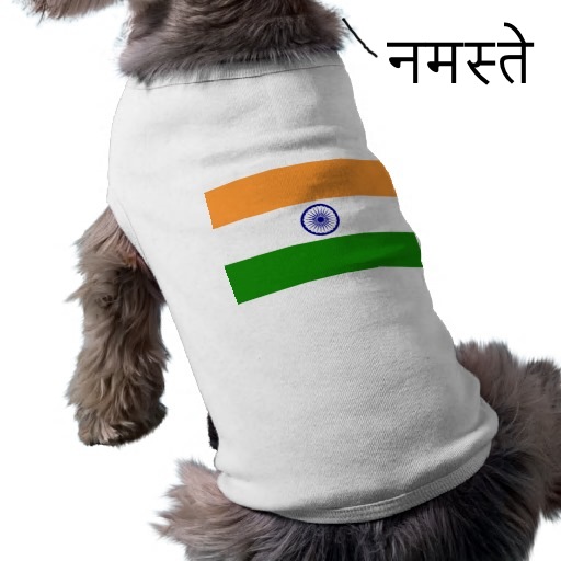 indian-dog.jpg