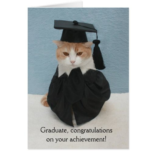 funny_cat_graduation_cards-r1c6d5a2000f643b59c5b219428eea10e_xvuat_8byvr_512.jpg